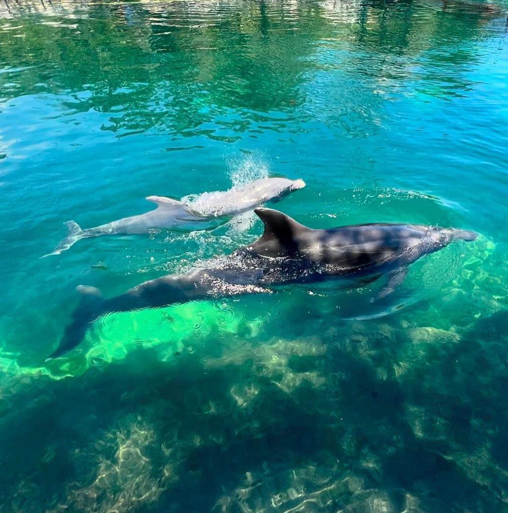 Апартаменты Puerto Aventuras, Departamento A Unos Pasos De La Playa Экстерьер фото